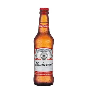 Cerveja Budweiser Long Neck 330Ml